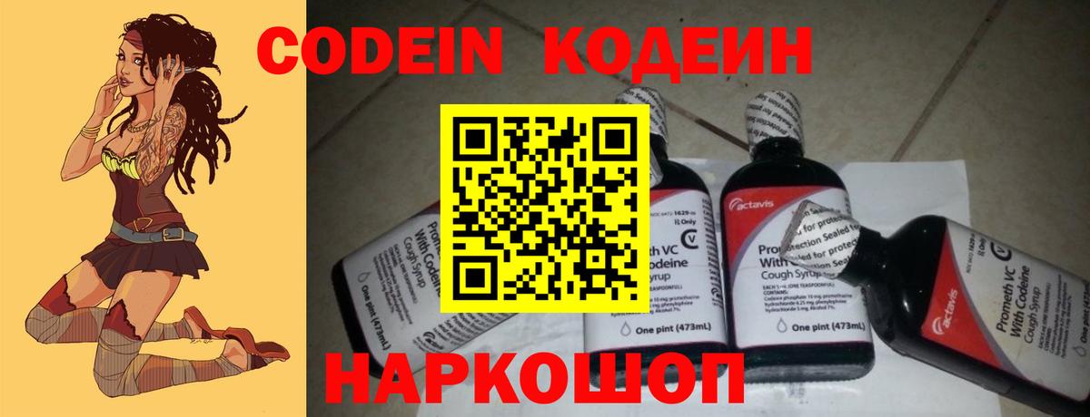 Будённовск  купить наркоту  Codein напиток Lean (лин)  Вход с VPN  Codein напиток Lean (лин) 