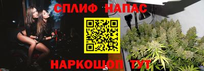 каннабис Малгобек