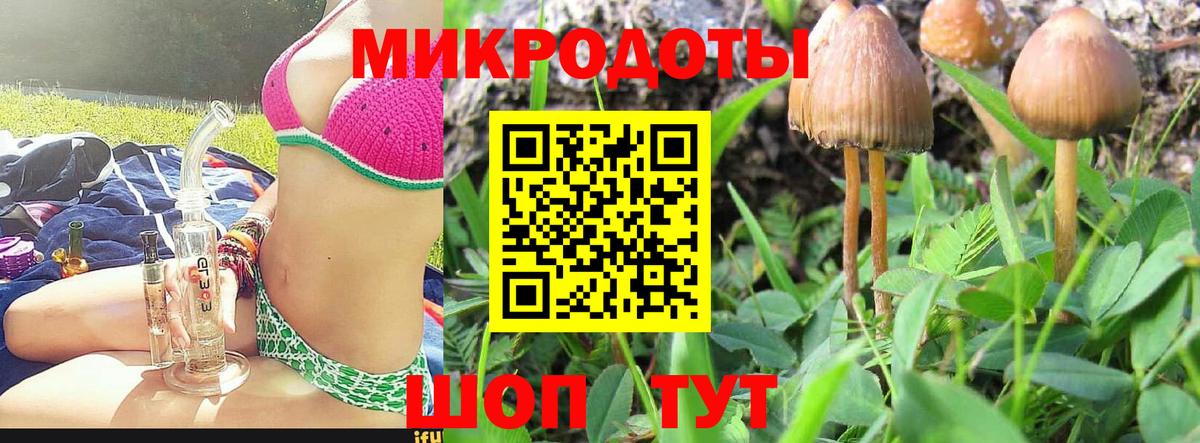 Будённовск  Галлюциногенные грибы Cubensis  Вход с VPN 