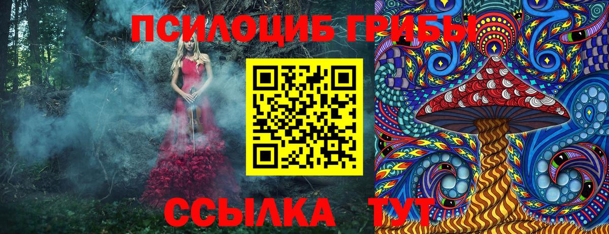 Псилоцибиновые грибы GOLDEN TEACHER Будённовск